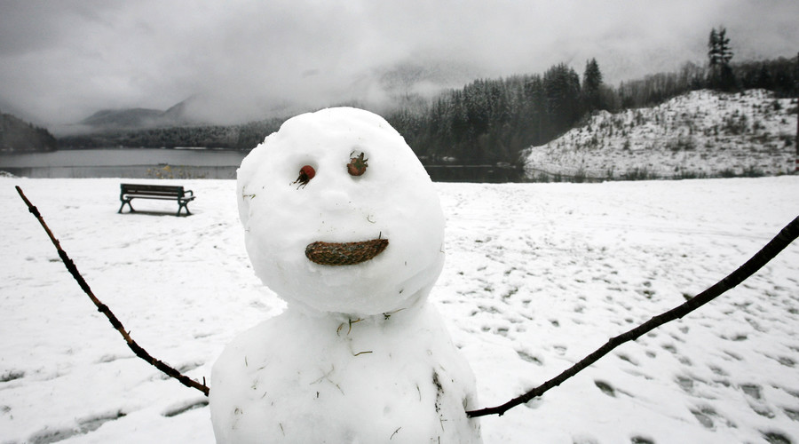 ‘Giant snow penis’ becomes nuisance for Swedish park staff