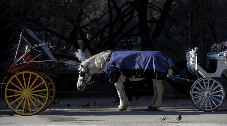 Horses yes, pedicabs no in heart of NYC’s Central Park