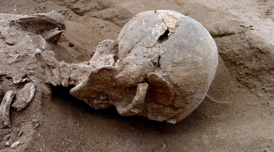 Stone Age cold case: ‘Oldest evidence of war’ dates back 10,000yrs