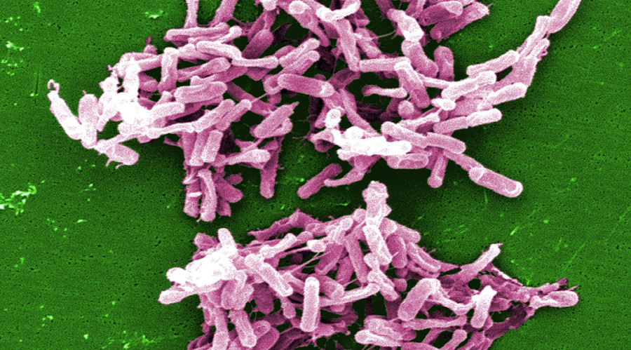 Nanoparticles 20,000 times smaller than human hair can tackle 'superbugs' – study