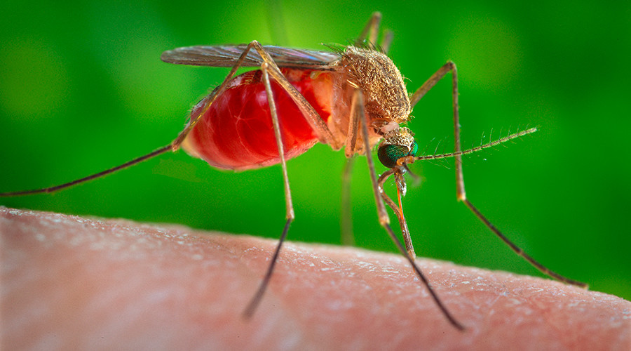 Over a dozen cases of birth defect-causing Zika virus confirmed in 5 states