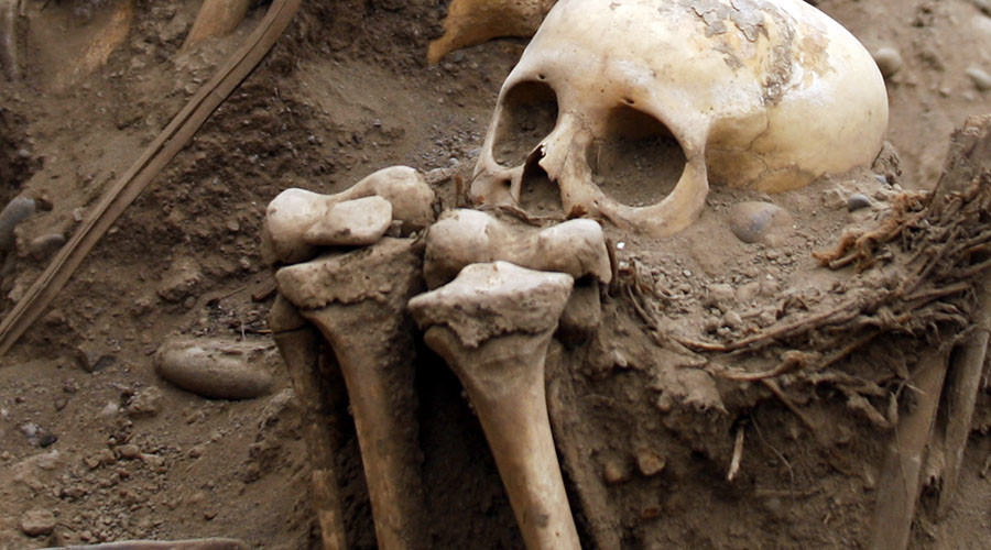 Bones from suspected African burial ground found under New York street