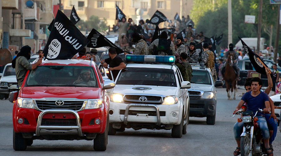 Russian lawmaker proposes international action to bar ISIS from internet