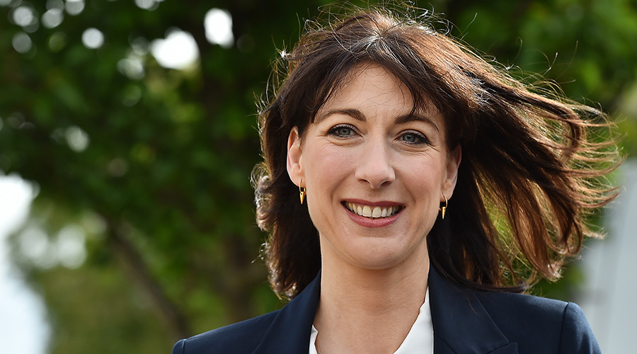 ‘Oink, oink!’ Samantha Cameron warned kids to ignore #piggate jokes at school