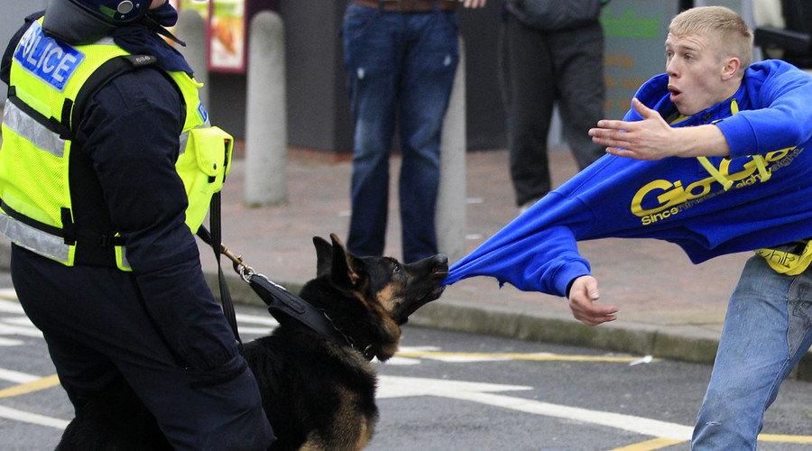 Gun dogs wanted: English cops sniff out canine crime-fighters