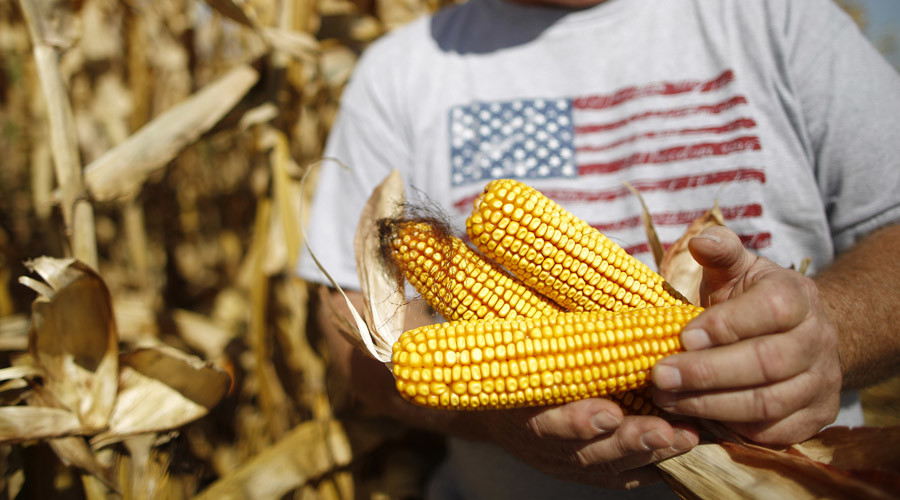 Russia may ban American corn and soybeans