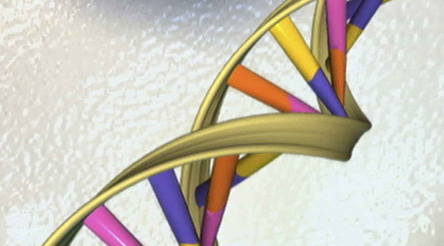 It’s all in the genes: Healthy people more likely to be intelligent, study says