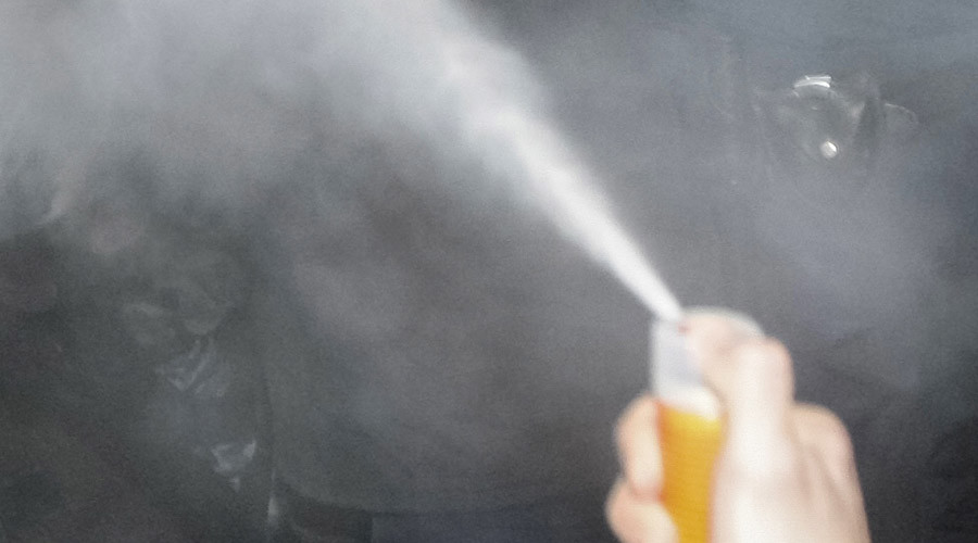 Outrage in Denmark as 17yo girl faces fine for using pepper spray against sex attacker