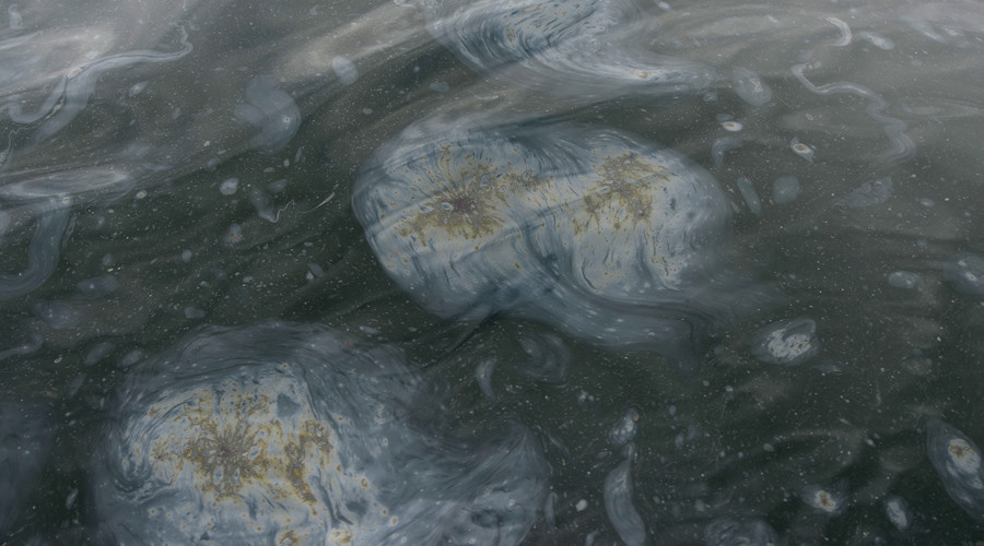 Living organisms can benefit from natural oil spills, study finds