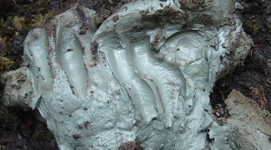 Ancient clay used by aboriginal Canadians could fight antibiotic-resistant bacteria – study