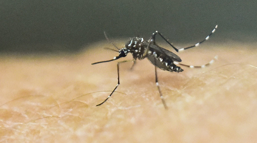 LA County, Minnesota confirm first cases of Zika virus