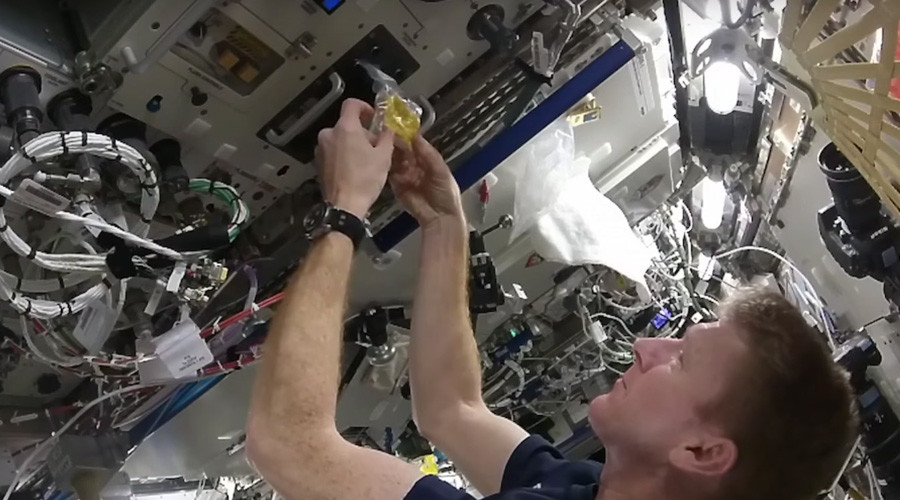 Scrambled in space: British astronaut shows how to make eggs aboard ISS (VIDEO)
