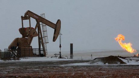 © Shannon Stapleton 