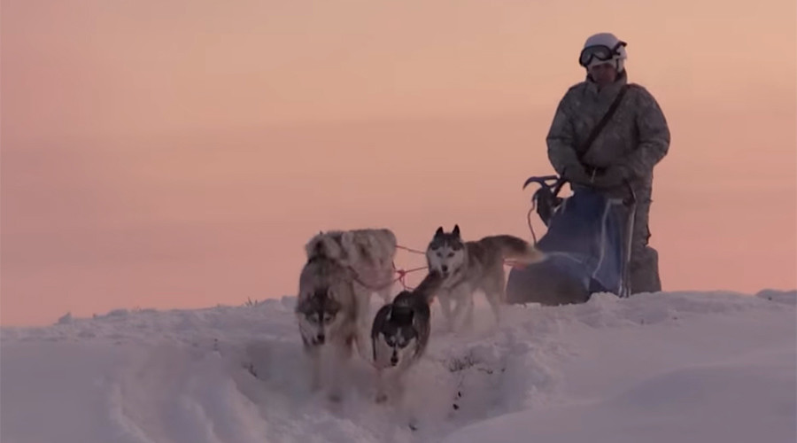Russian Arctic troops train with huskies and reindeer (VIDEO)
