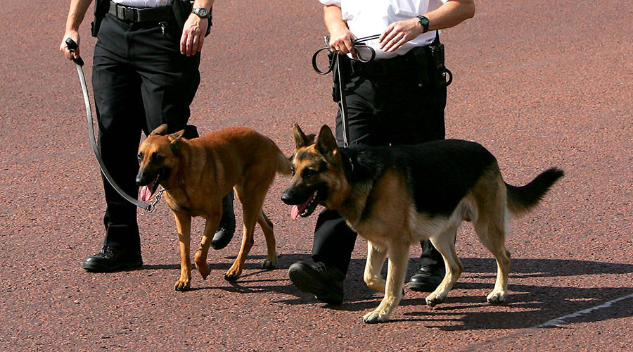 An arm & a leg? Body parts should be used to train police dogs, say academics