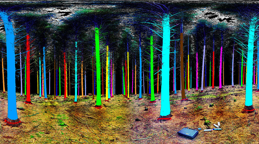 Future forestry: 3D space technology aims to cut down on logging