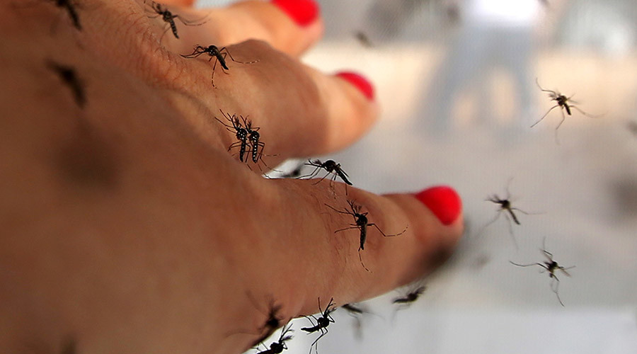 Florida governor declares Zika virus emergency in four counties