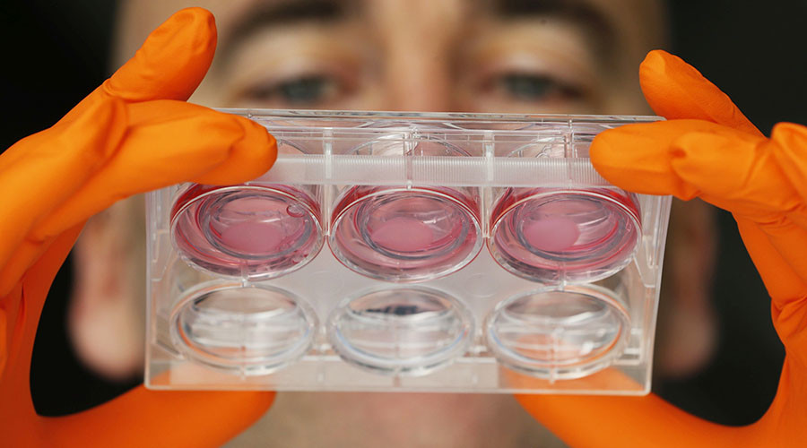Disposing of 'cellular litter' could prolong life by up to 35% - study