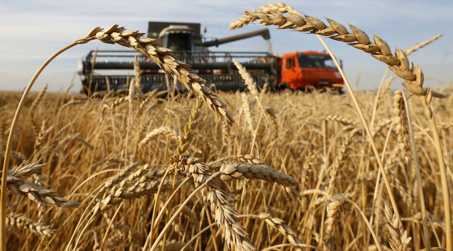 Russia to become world’s largest wheat exporter in 2016