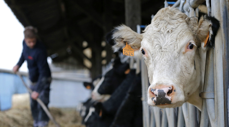 Paris wants Moscow to lift embargo on French produce
