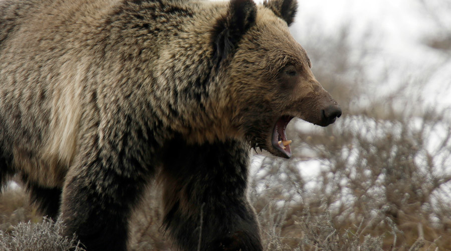 World stocks enter bear market as selloff intensifies
