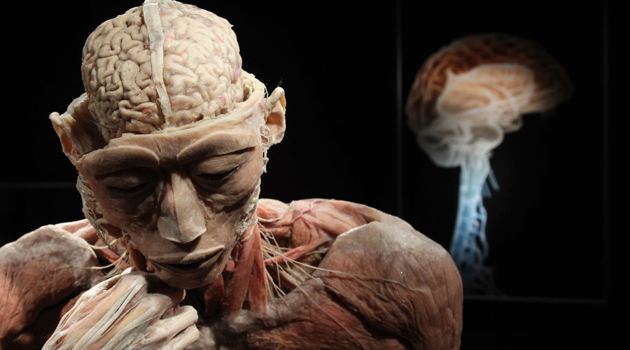 Our brain sabotages all efforts at breaking bad habits, Johns Hopkins study finds