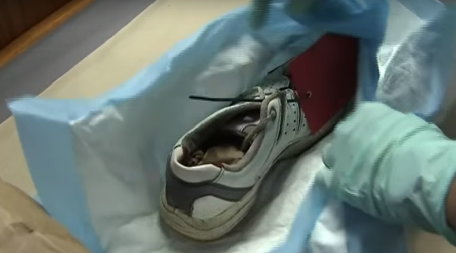 16 since 2007: Another shoe containing human foot washes up along Pacific Northwest coast
