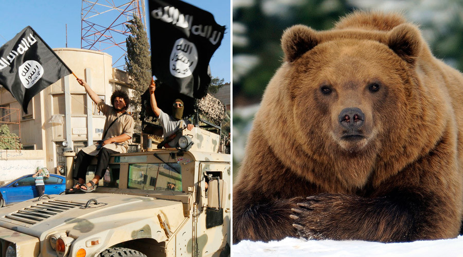 Is ISIS really shaving BEARS? How one media tweet nearly pitted PETA against jihadists