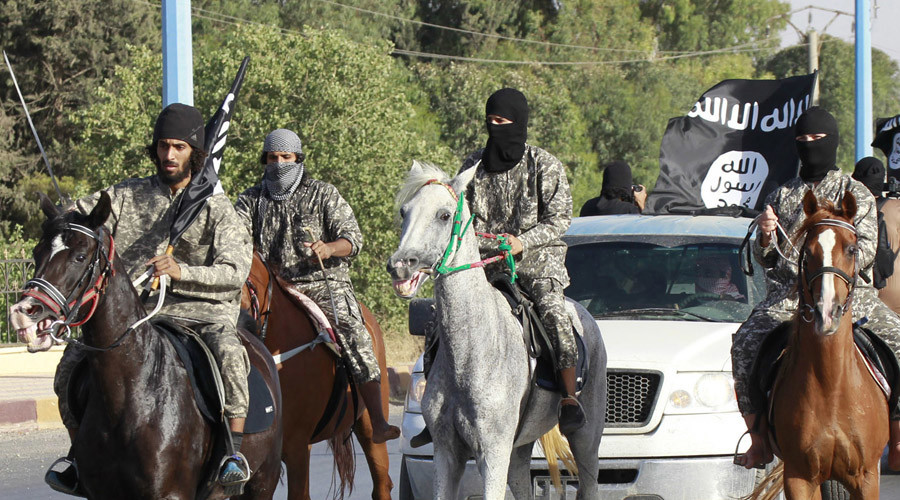 ISIS militants used mustard gas against Kurdish forces in Iraq – chemical weapon watchdog