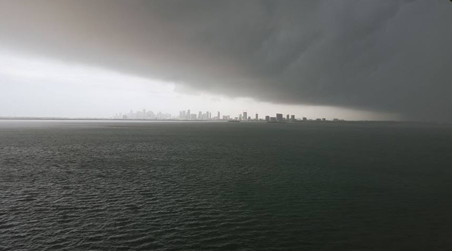 Twister mystery: Miami wakes to tornado warning and wind damage (VIDEO)
