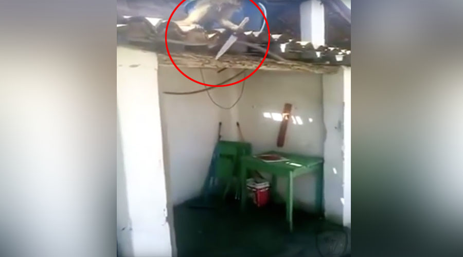 ‘I think you’ve had enough’: Knife-wielding drunk monkey terrorizes Brazilian bar (VIDEO)