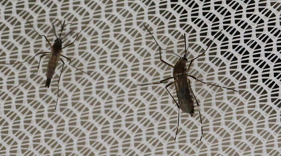 Brazil using drones to fight Zika, Cuba deploys army
