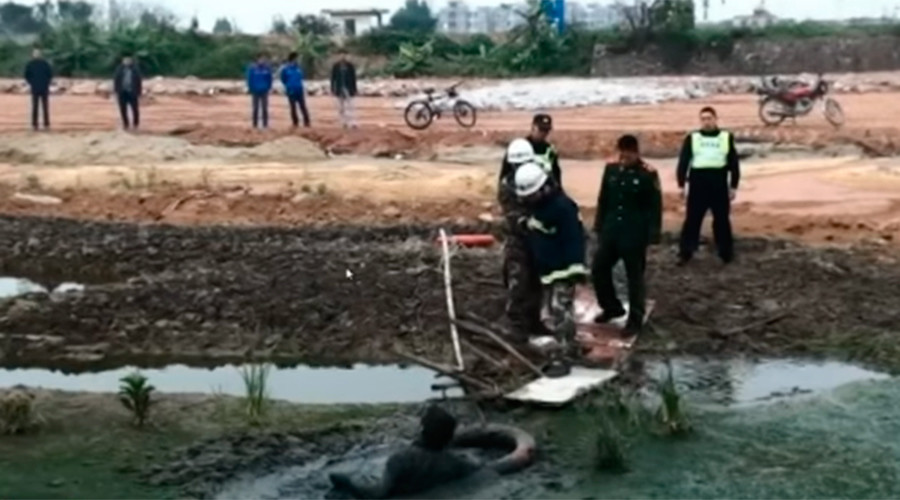 Hollywood rescue: Firefighters save drunk man stuck in mud (VIDEO)