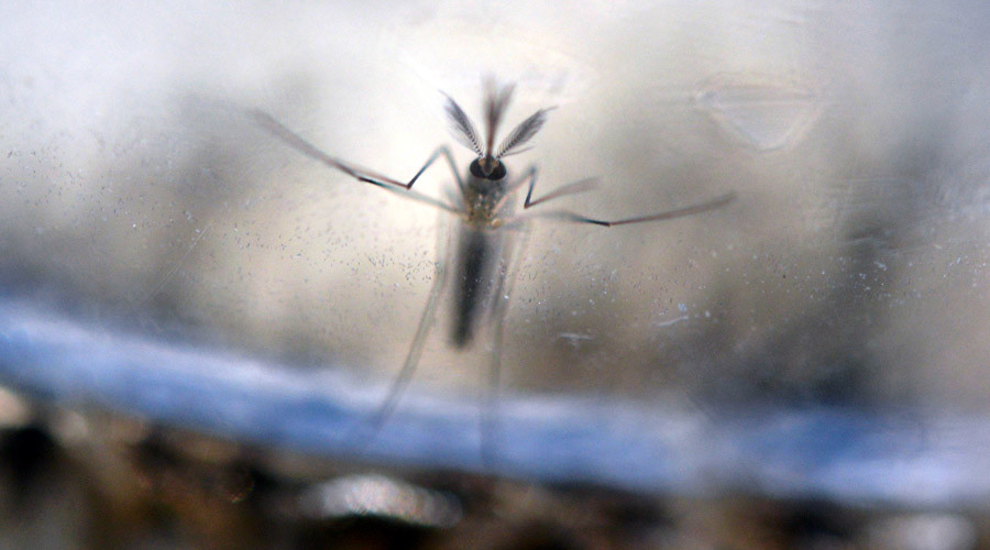 At least 14 new cases of 'possible sexual transmission' of Zika virus – CDC
