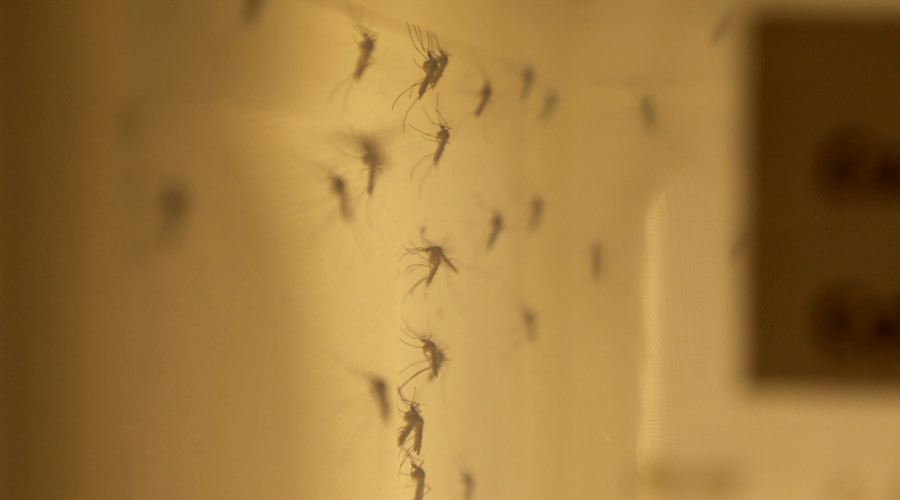 Texas hospitals develop first rapid Zika detection test