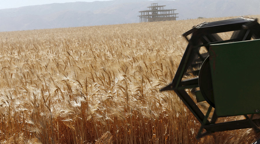 Russia to up grain production 25% by 2030 - Agriculture ministry