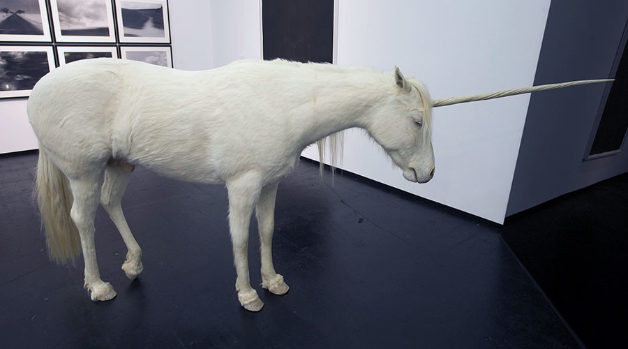 They DO exist! Unicorn leads CHiPs on 3+ hour chase