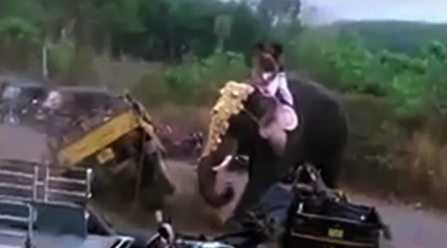 Trunk road rage: Angry elephant goes on epic rampage (VIDEO)