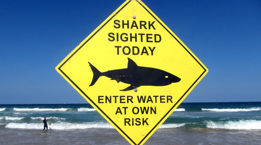 Stalking Jaws: $250k drones to safeguard Aussie swimmers from sharks (PHOTO)
