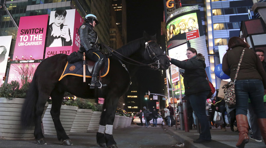 New York night-mare: Cooked horse head found in city park