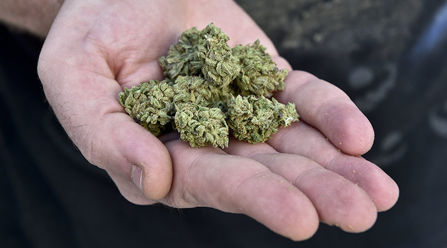 'Art' & 'auto parts': Pot smugglers with creative delivery methods caught in the act