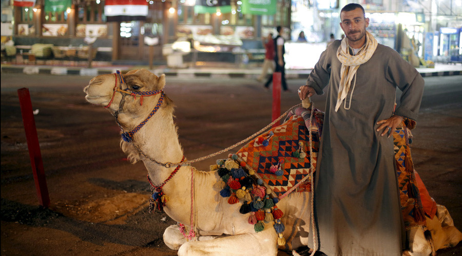 Tourism ban cost Egyptian economy $1.3bn