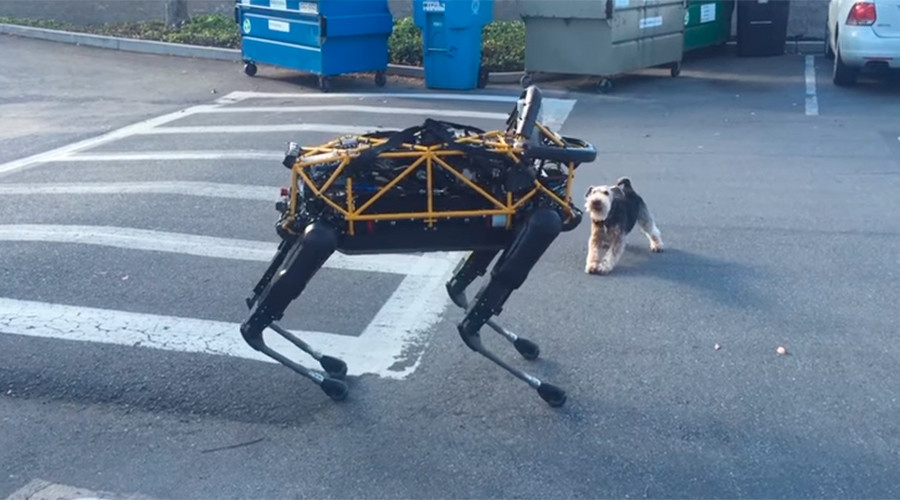 Terrier shows Google robo-dog who’s the boss (VIDEO)