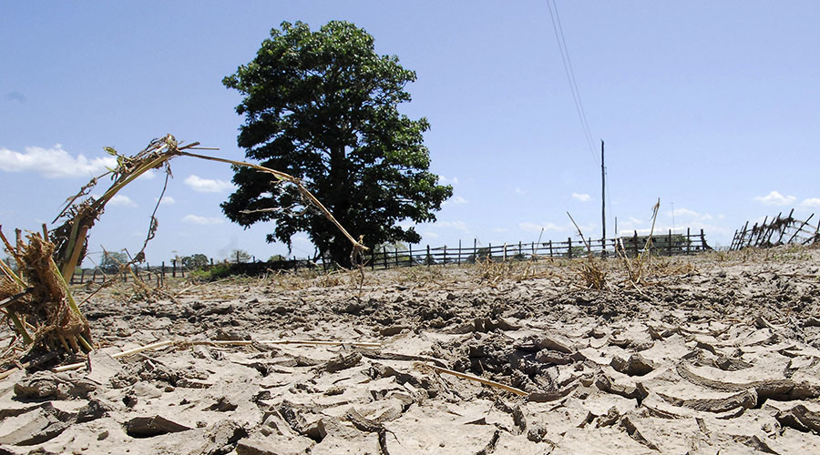 Climate change could devastate UK nutrition, cause 1,200 extra deaths in 2050 – study