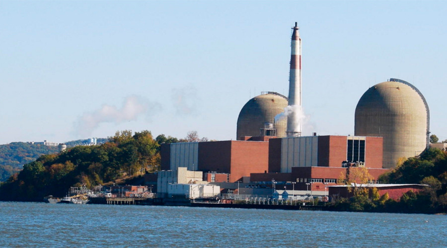 Bird poop blamed for Indian Point nuclear reactor shutdown