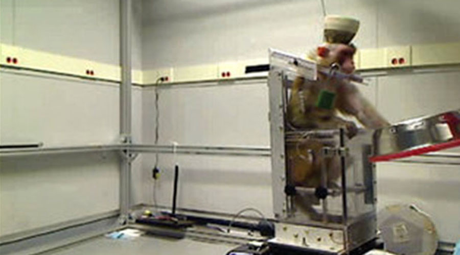 Monkeys learn how to ride wheelchairs using mind power (VIDEO)
