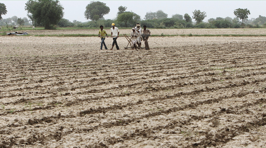 Farmers plough and sow cotton seeds in a field in Shahpur village, India © Amit Dave