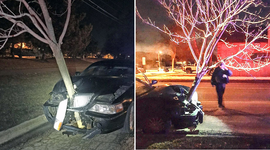 All up in my grill: Tree stuck in moving car alerts police to alleged drunk driver (VIDEO)