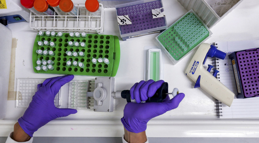 Nano-sized particles cure final-stage breast cancer in mice – breakthrough study