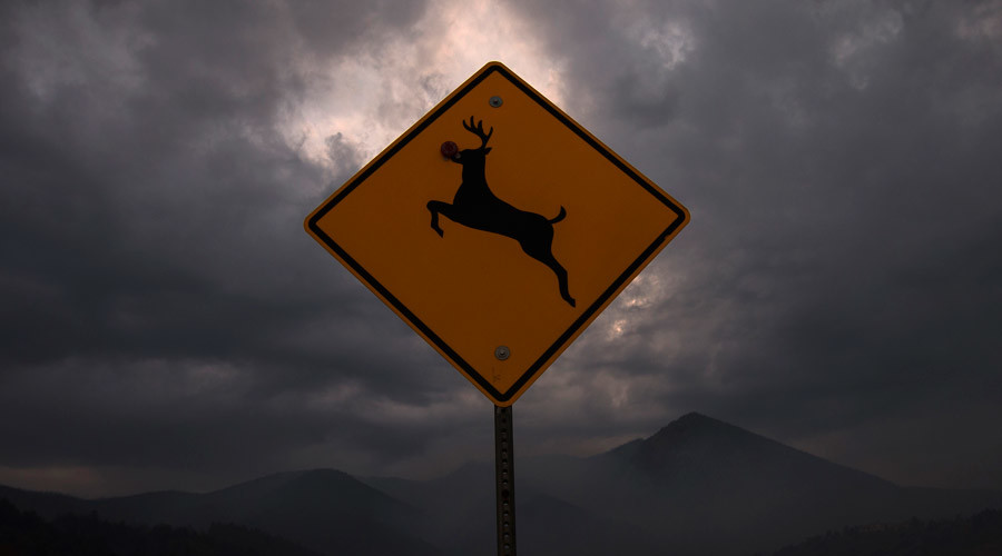 ‘Suicidal deer’ road sign kicks up a ruckus in Iowa